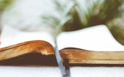 How to Become a Writer