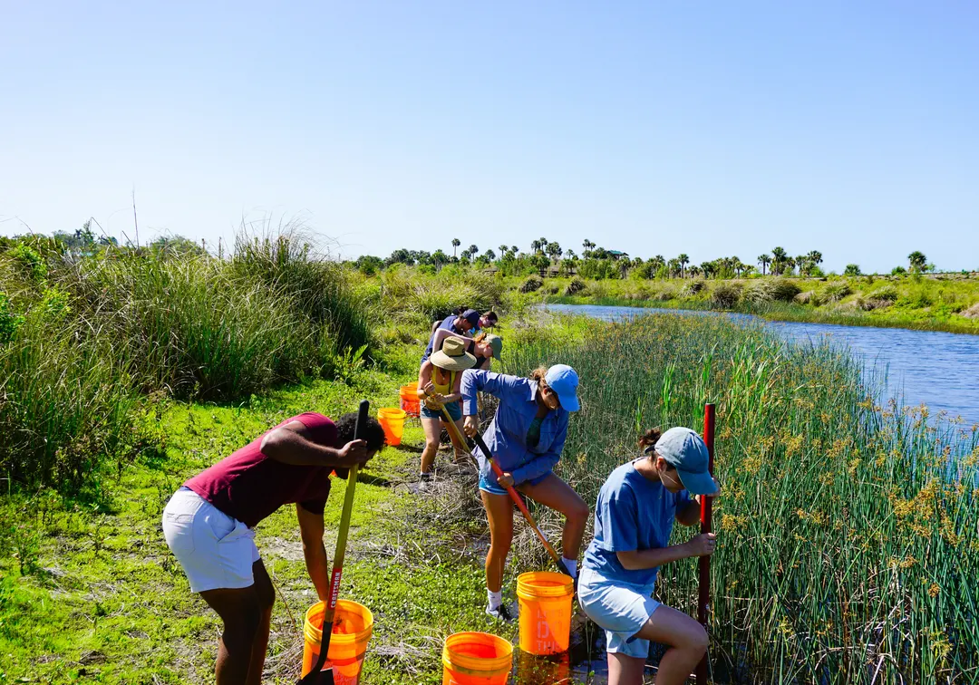 Group of teenagers cleaning up an estuary