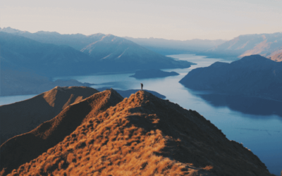 What Is a Year Abroad?