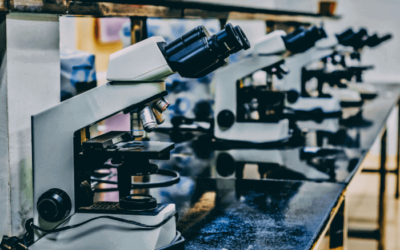 A Guide to Studying Science at University