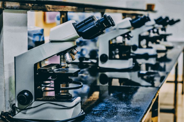 Microscopes in a University science lab classroom