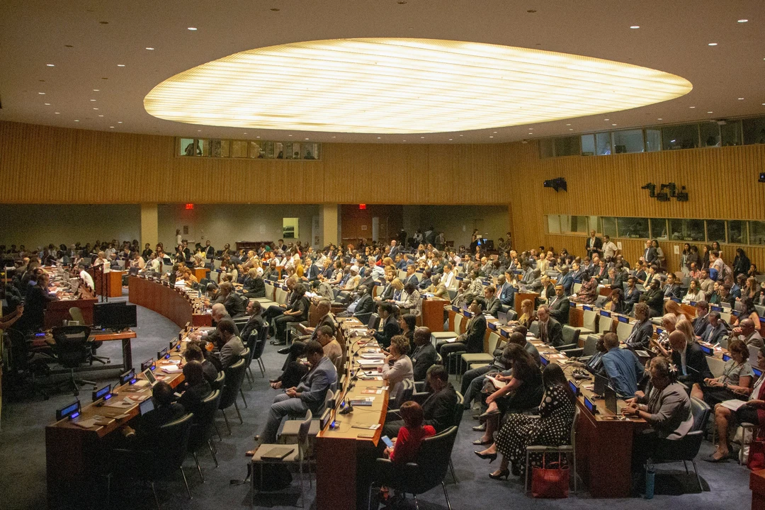 Large group of people gathering for a UN meeting