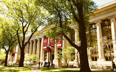 A Guide to the College Admissions Cycle