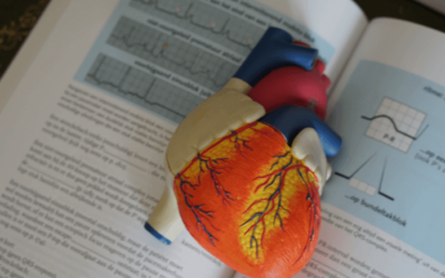 The Best Universities to Study Medicine in the World