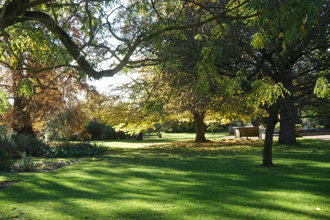 The Oxford Botanical Gardens are a natural study spot in the city.