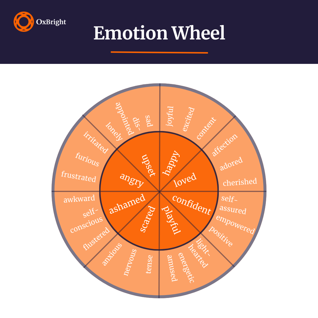 Oxford Scholastica Academy's Emotion Wheel resource.