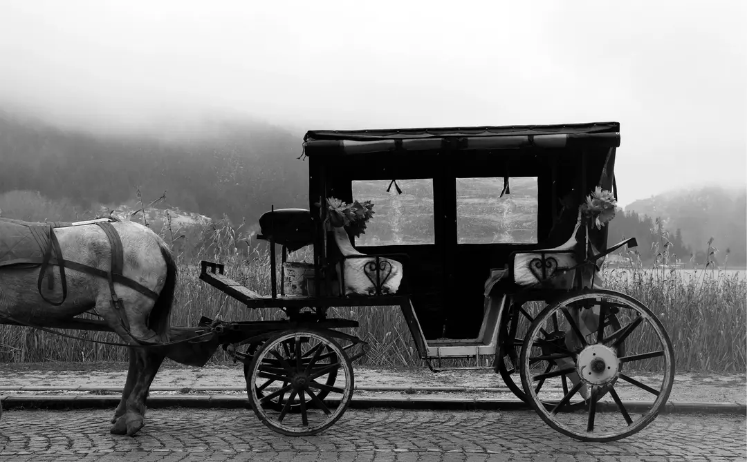 The phantom carriage of George Napier
