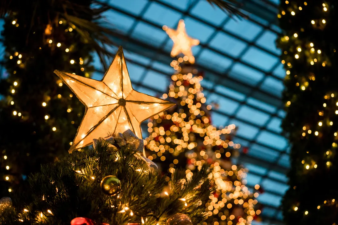 Close up of a star tree-topper on a Christmas tree