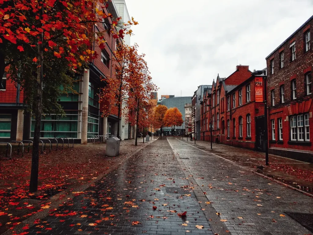 University of Manchester