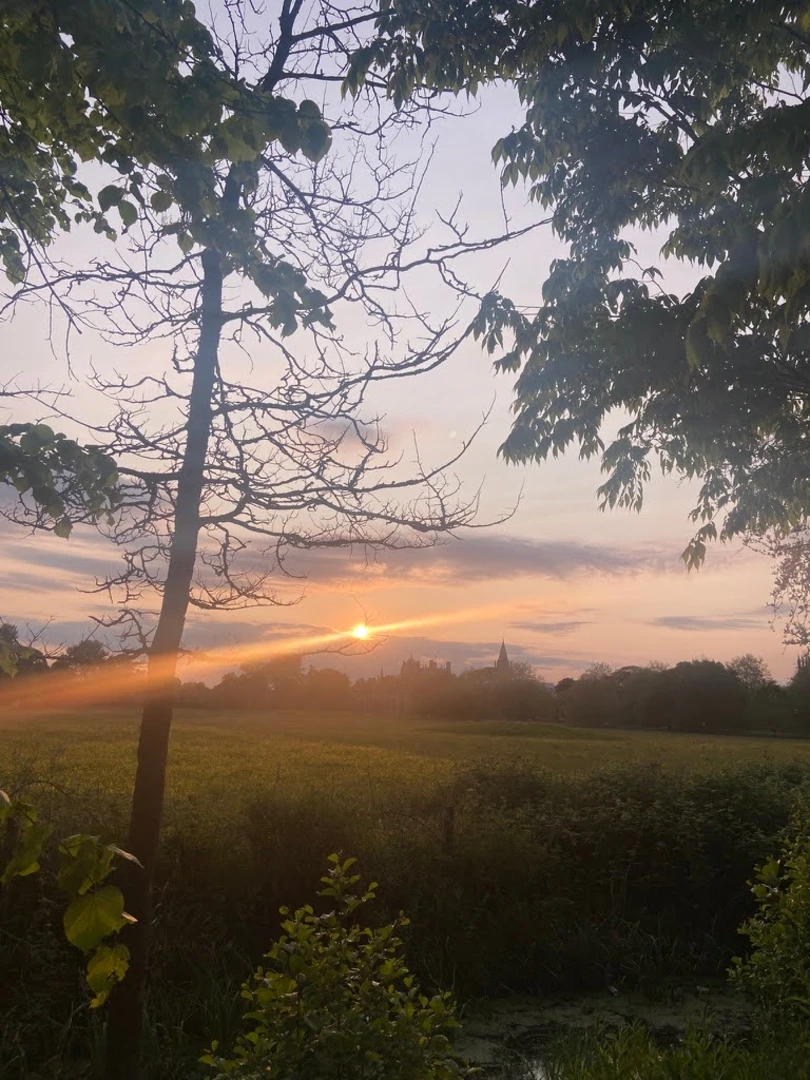 Sunset over Christ Church Meadow, Oxford