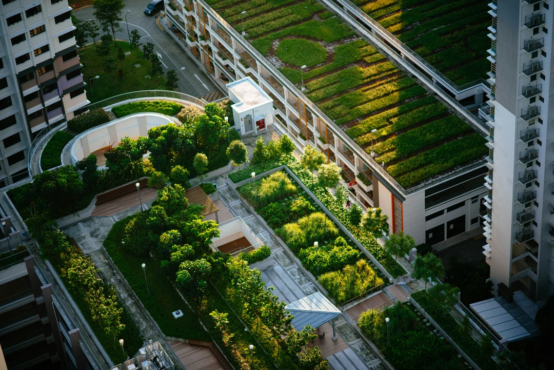 Top view of a city building with trees and greenery on its rooftop