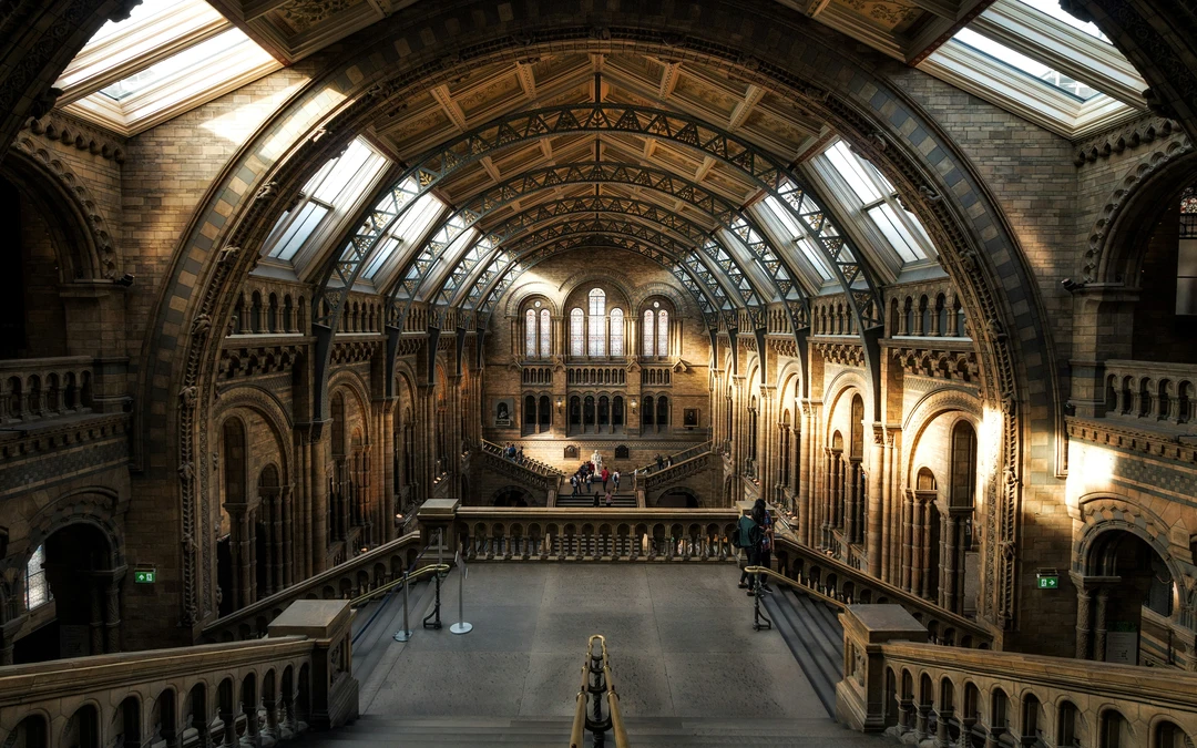 Inside the Natural History Museum, London