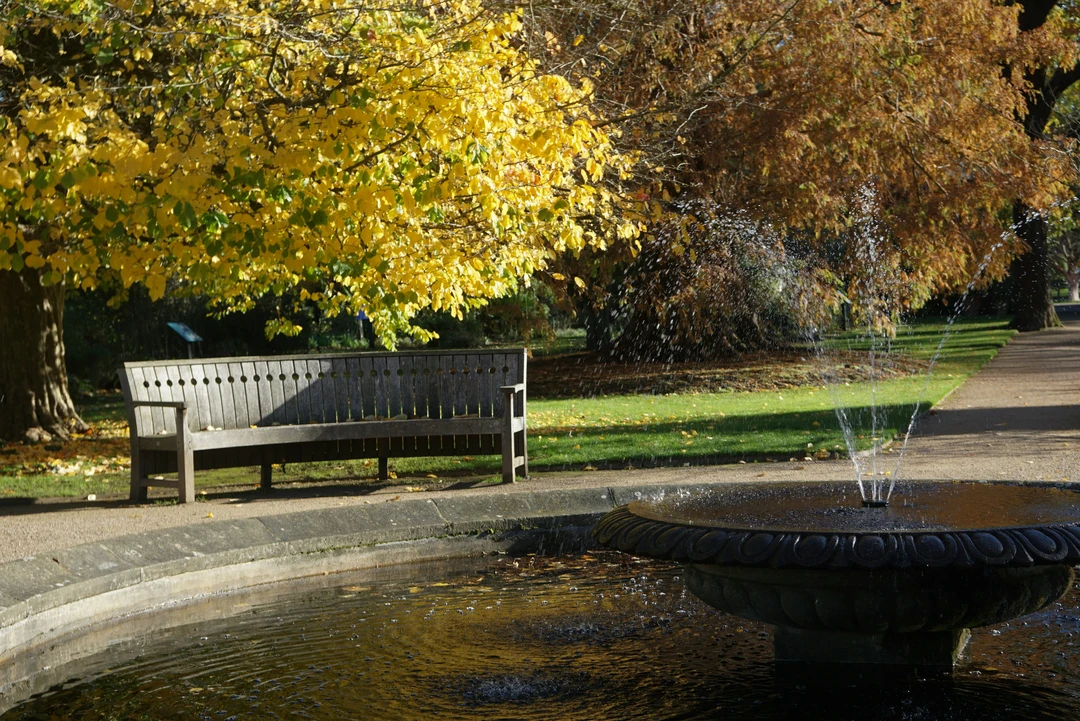 A park bench next to a fountain in the Oxford Botanic Gardens