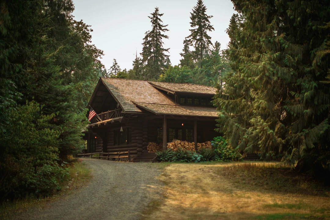 Wooden cabin in the middle of a forest