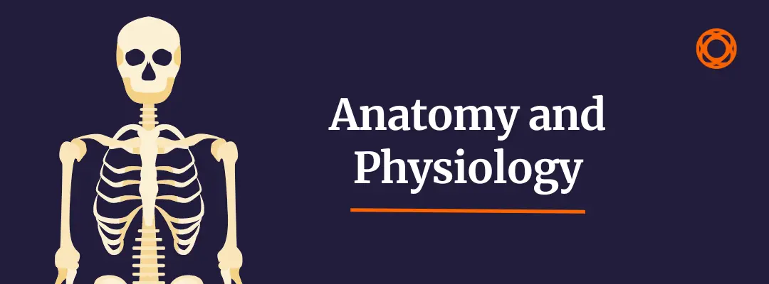 Anatomy and Physiology