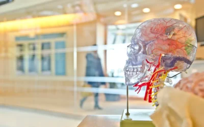 The 10 Best Universities for Medicine in the UK